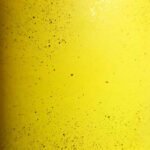 Vintage Style Glass Bottles 1 Litre Swing Top – Lime Shimmer - Image 3